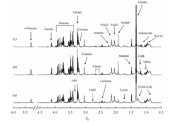 基于 1 H NMR 谱的给药赭石大鼠血清代谢组学研究