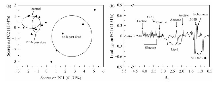 基于 1 H NMR 谱的给药赭石大鼠血清代谢组学研究