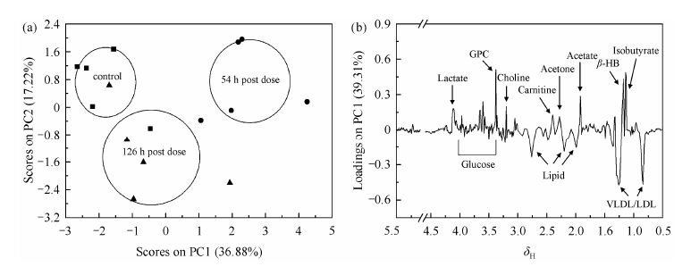 基于 1 H NMR 谱的给药赭石大鼠血清代谢组学研究