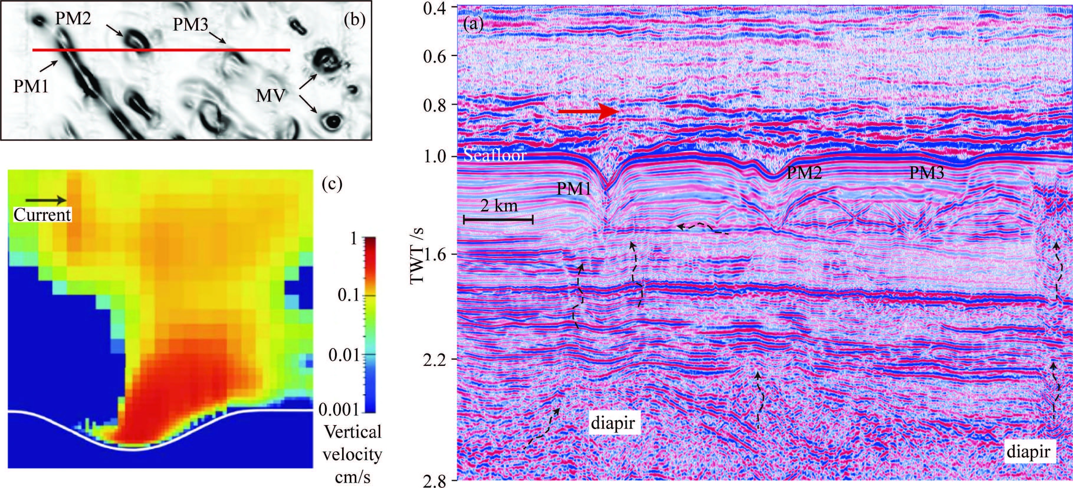 GEOPHYSICAL ANALYSIS OF ABNORMAL SEISMIC (OCEANOGRAPHY) REFLECTION ...