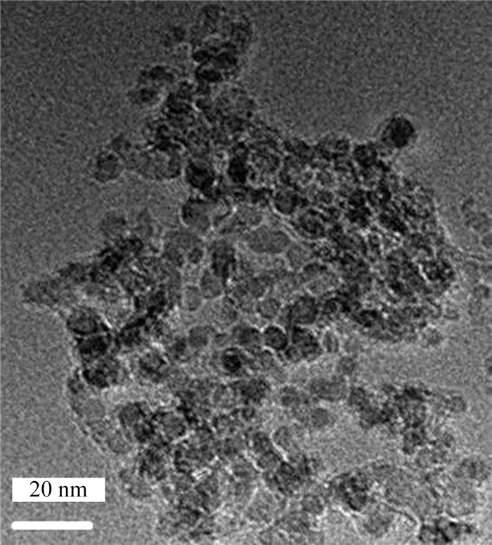 基于核酸适配体功能化石墨纳米颗粒荧光探针的17β-雌二醇快速检测方法