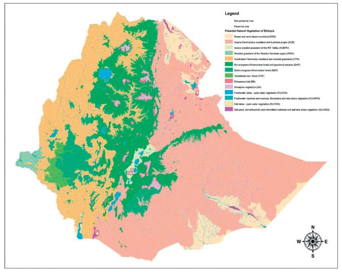 Ethiopian Vegetation Types Climate And Topography