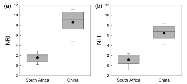 Intercontinental Comparison Of Phylogenetic Relatedness In Introduced