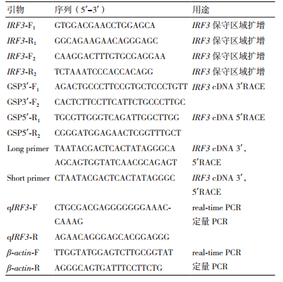 杂交石斑鱼干扰素调节因子3 I Irf3 I 基因的克隆及表达分析