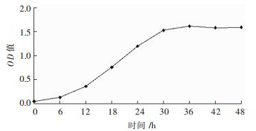 点击查看原图