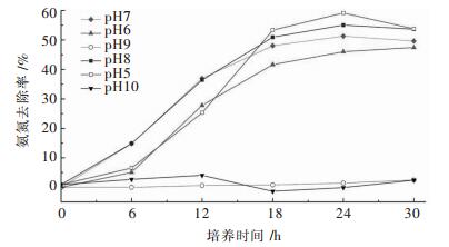 点击查看原图