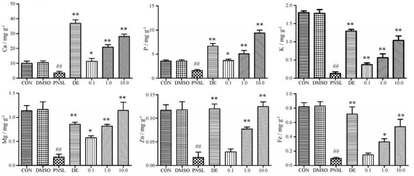 桃红四物汤逆转斑马鱼模型糖皮质激素性骨质疏松的研究