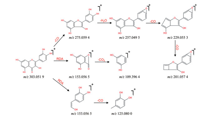 基于UPLC-Q-TOF-MS/MS代谢组学的铁皮石斛和玫瑰石斛化学成分差异研究