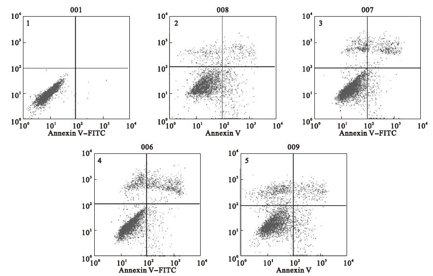 sgc-7901细胞在不同浓度gl作用12 h后,流式细胞分布图上可检测到凋亡