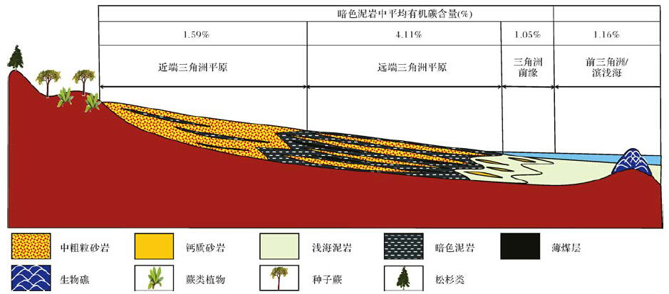 north carnarvon盆地三叠系沉积格局转换与烃源岩发育特征