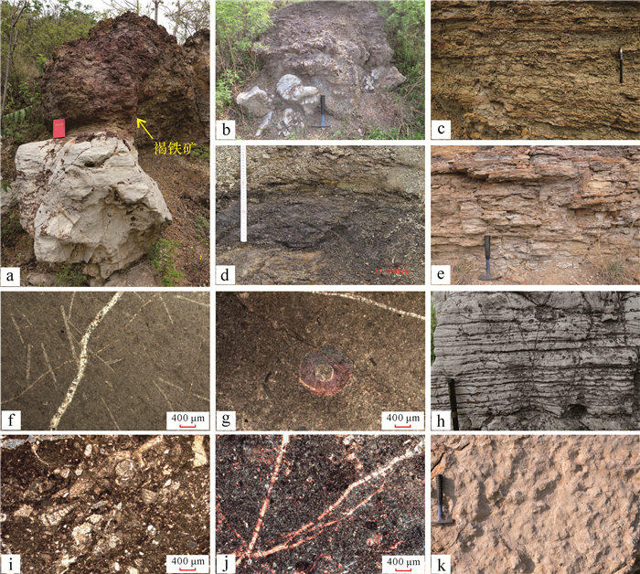 图 3 本溪组风化壳,潮坪相与台地相a.本溪组底部鸡窝状褐铁矿;b.