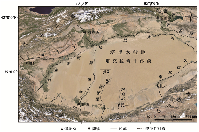 塔里木盆地略图(google earth image fig.