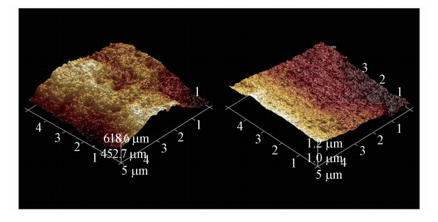 膜抗污染性能分析    图 5为纯pvdf膜及ag/pvdf杂化膜表面的三维afm图