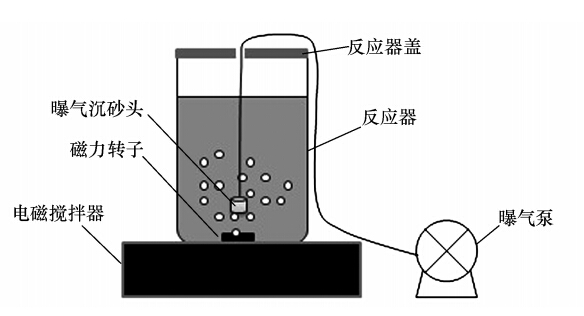 间歇式生物反应器中phacs的吸附降解性及动力学特性