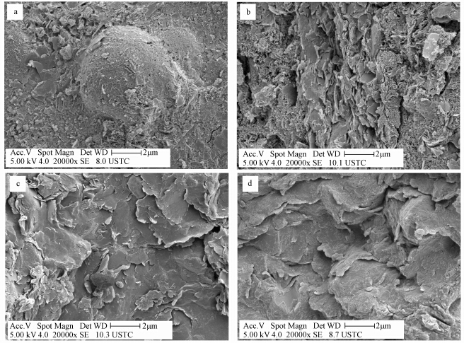 煤系废物地聚合物稳定固化重金属离子效果研究