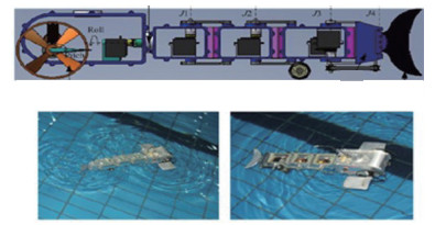 水陆两栖仿生机器人构形、运动机理及建模控制综述