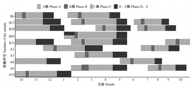 福州大叶榕的传粉生物学