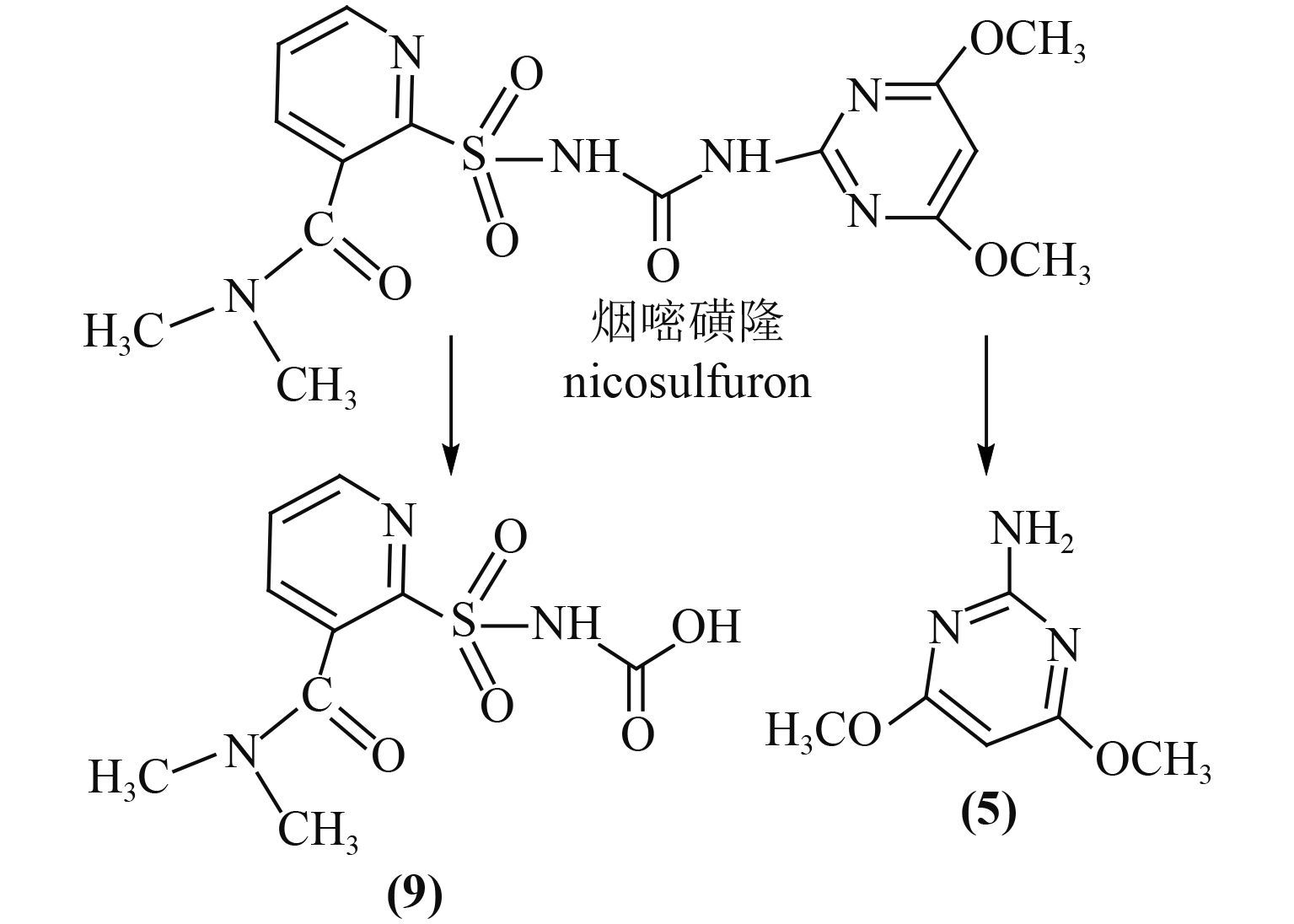 烟嘧磺隆的微生物降解研究进展