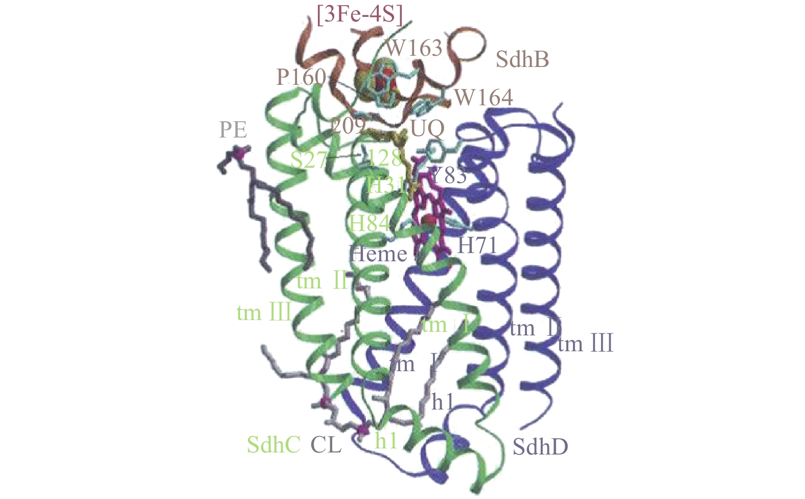 nyxxb-20-5-dushijie-3.jpg