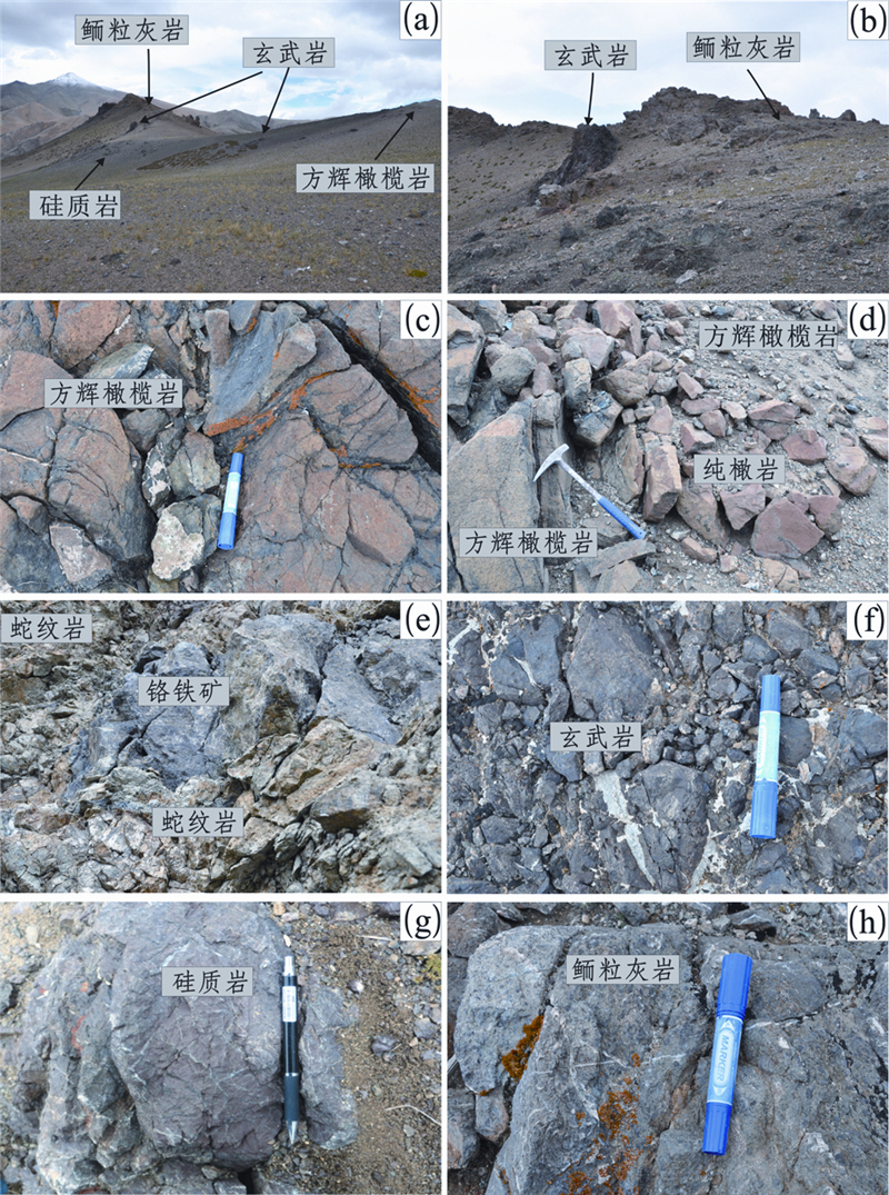 雅鲁藏布江蛇绿岩带西段达机翁地幔橄榄岩组成特征及其形成环境分析
