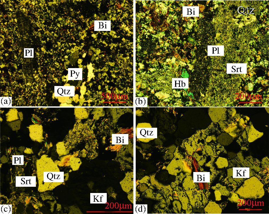 pl-斜长石;kf-钾长石;bi-黑云母;hb-角闪石;py-黄铁矿;srt-绢云母化