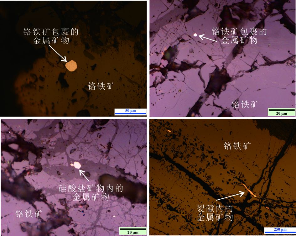 西藏罗布莎铬铁矿中的原位铂族矿物研究:铬铁矿结晶环境的指示