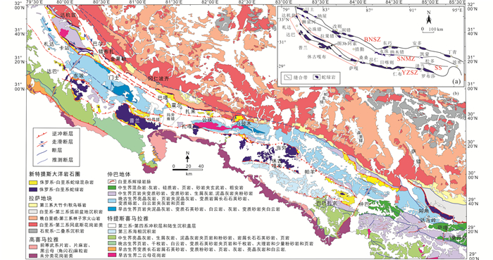 青藏高原新特提斯蛇绿岩的地质特征及其构造演化