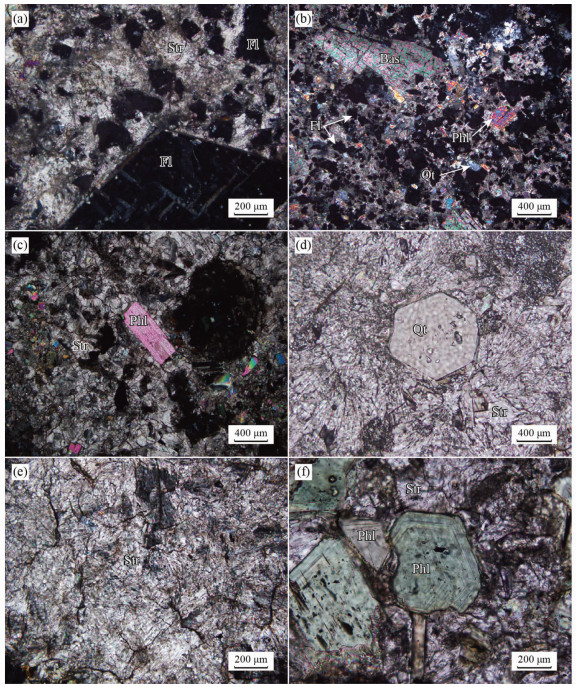 四川冕宁包子山稀土矿床富Sr碳酸岩的发现及意义