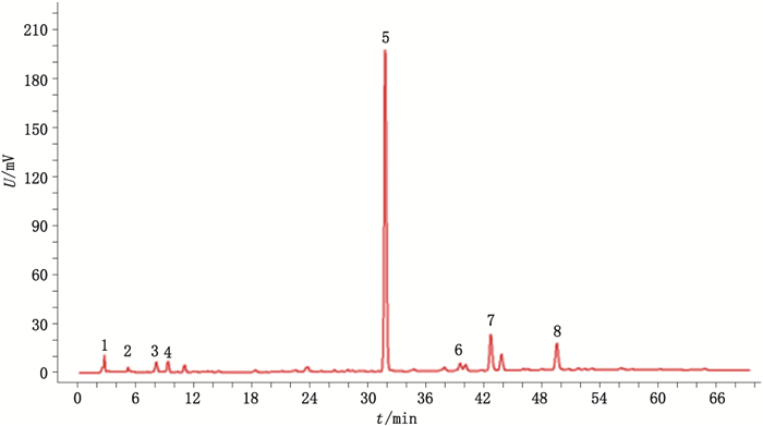 酒苁蓉HPLC特征图谱及5个苯乙醇苷类成分含量测定