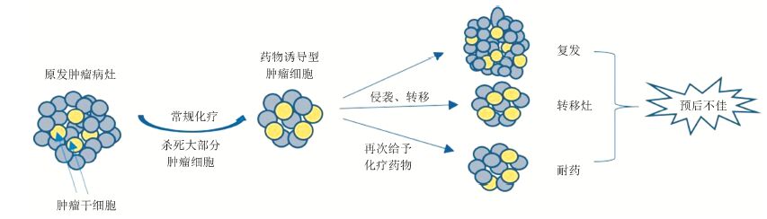 药物诱导型肿瘤细胞的生物学特性及药物防治