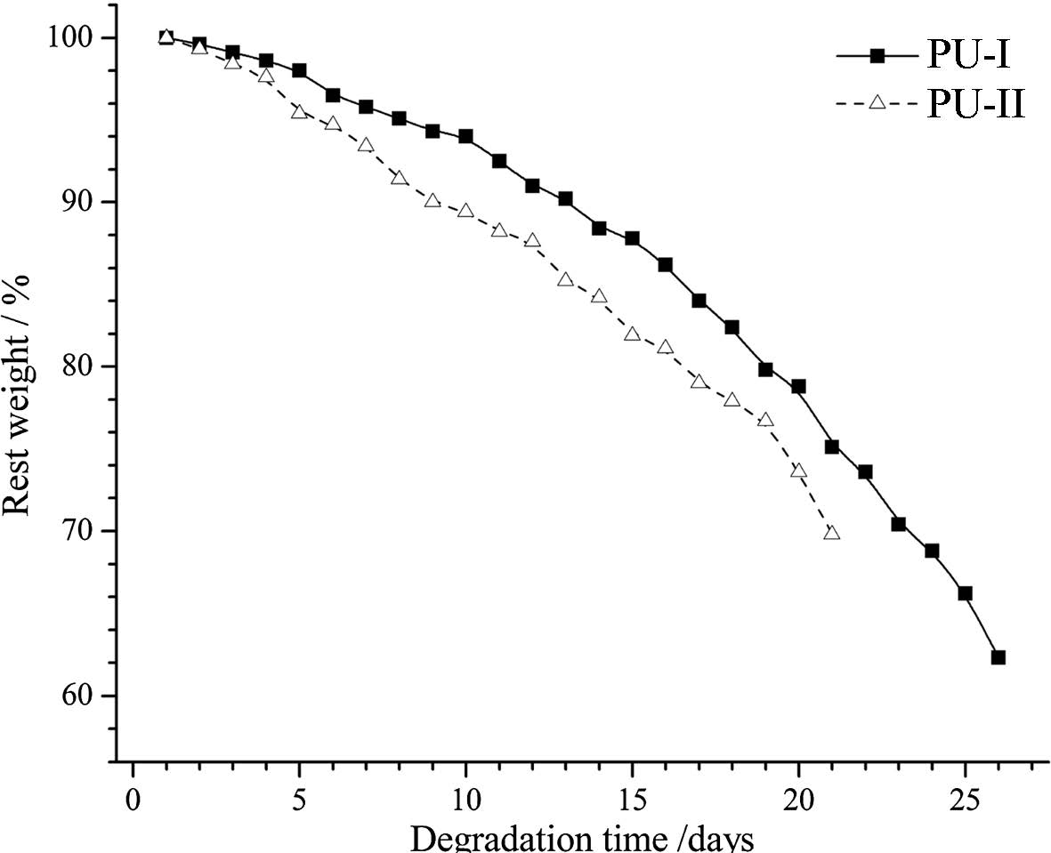 Synthesis And Characterization Of A New Biodegradable Polyurethanes ...