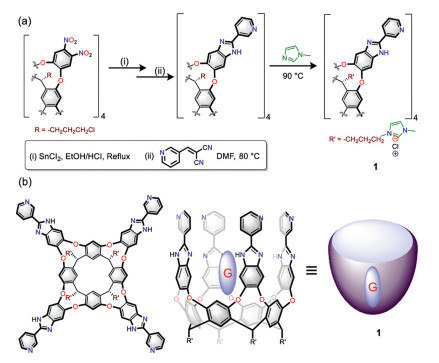 Scheme 1. (a) Synthesis Of The Water-soluble Cavitand 1 Containing 2-(3 ...