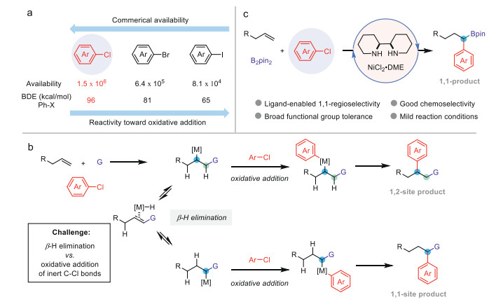 Nickel-Catalyzed Borylation of Halides and Pseudohalides with