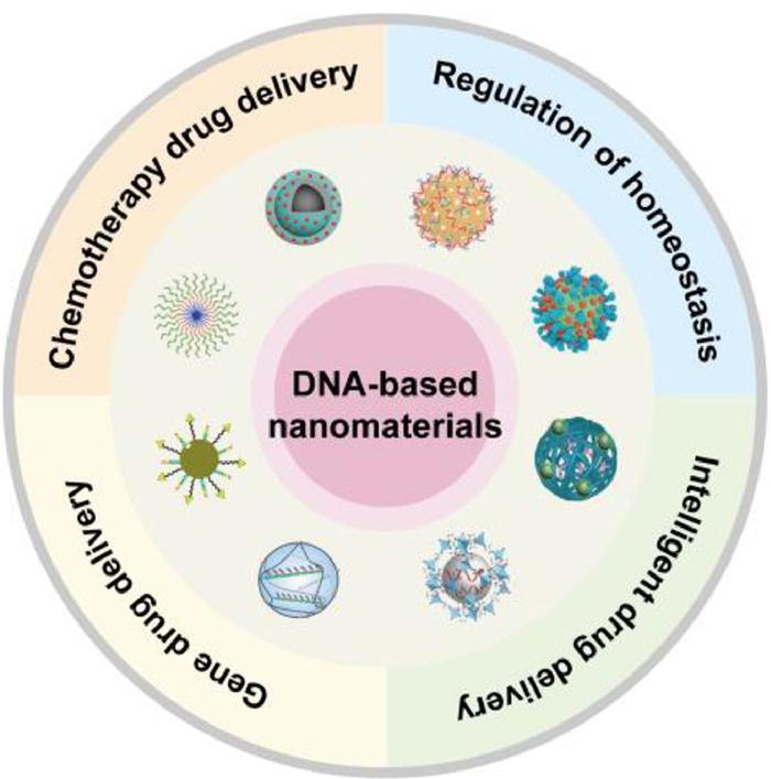 Fig 1 An Illustration Of Four Kinds Of Applications Of Dna Based Nanomaterials In Cancer 