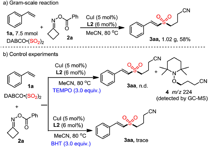 Scheme Gram Scale Reaction And Control Experiments