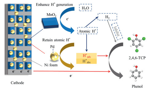 Fig Schematic Concept Of Ech Reaction Mechanism Of Tcp By