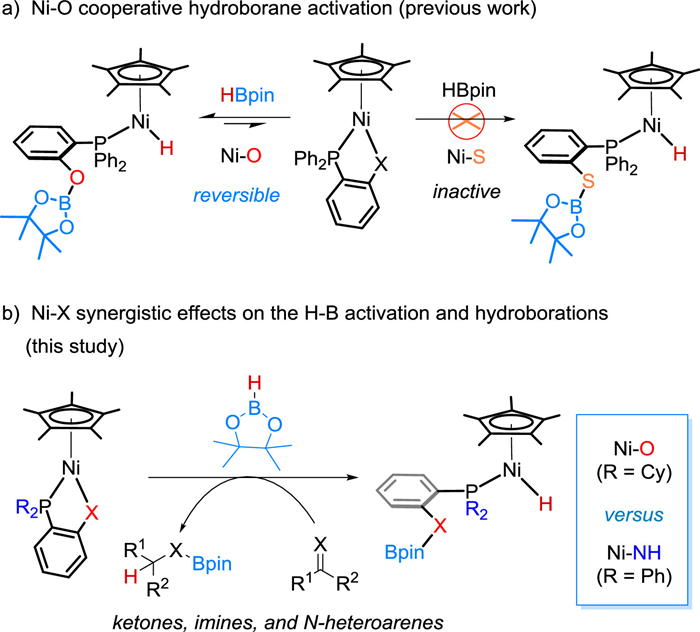 Scheme 1. Cooperative Activation Of HBpin By Cp*Ni(1,2-R 2 PC 6 H 4 X ...