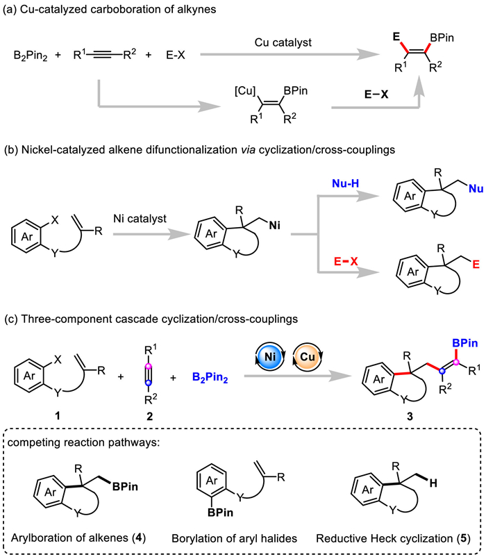 Scheme Synthesis Of Tetrasubstituted Alkenylboronates