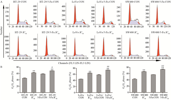 lovoic50and sw480ic50图 3流式细胞仪检测那可丁对耐药细胞周期(a)
