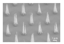 Click to view original