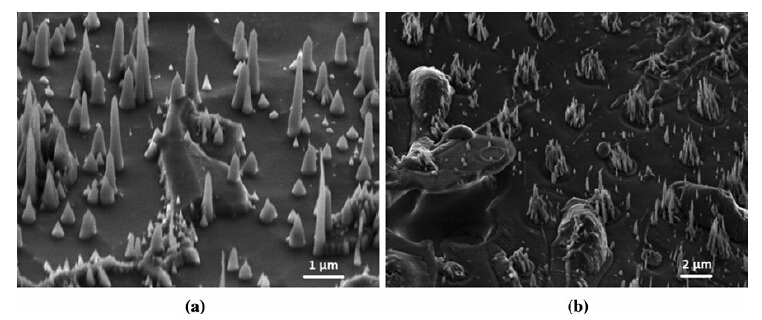 Click to view original