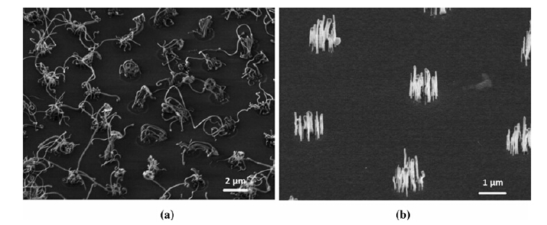 Click to view original