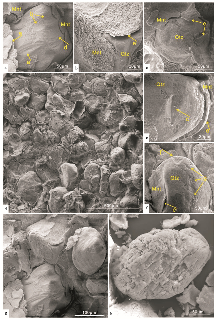 砂岩的颗粒结构图片