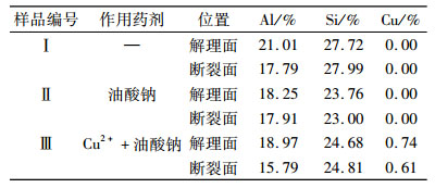 点击查看表格内容