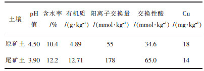 点击查看表格内容