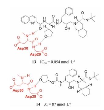 基於結構設計的蛋白酶抑制劑沙奎那韋,安普那韋和地瑞那韋