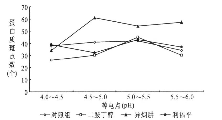 耻垢分枝杆菌手绘图图片