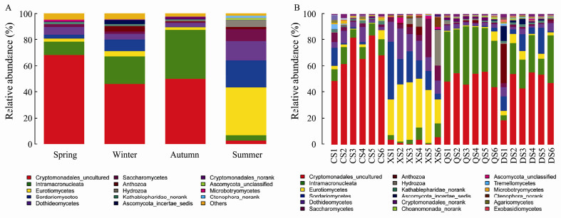 Seasonal Variations of Picoeukaryote Community Structure in Zhoushan ...