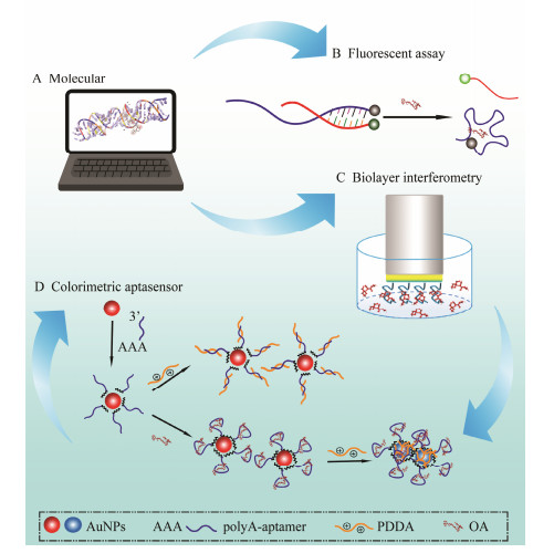 Development of a Label-Free Colorimetric Aptasensor with Rationally ...