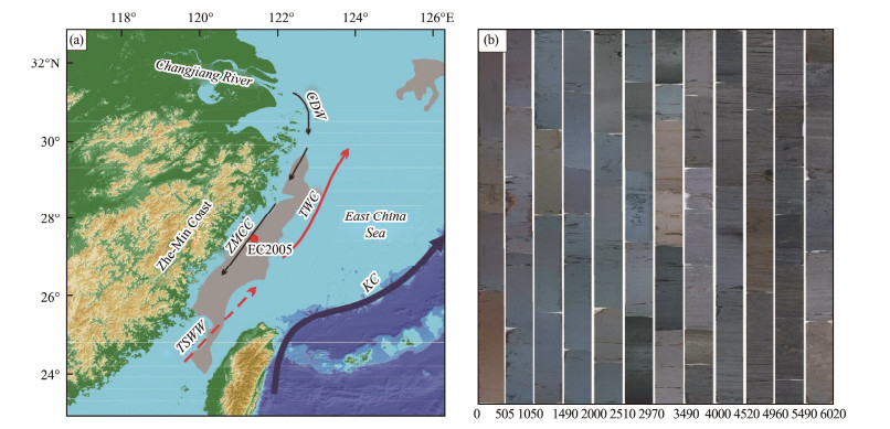 Organic Carbon Deposition on the Inner Shelf of the East China Sea ...
